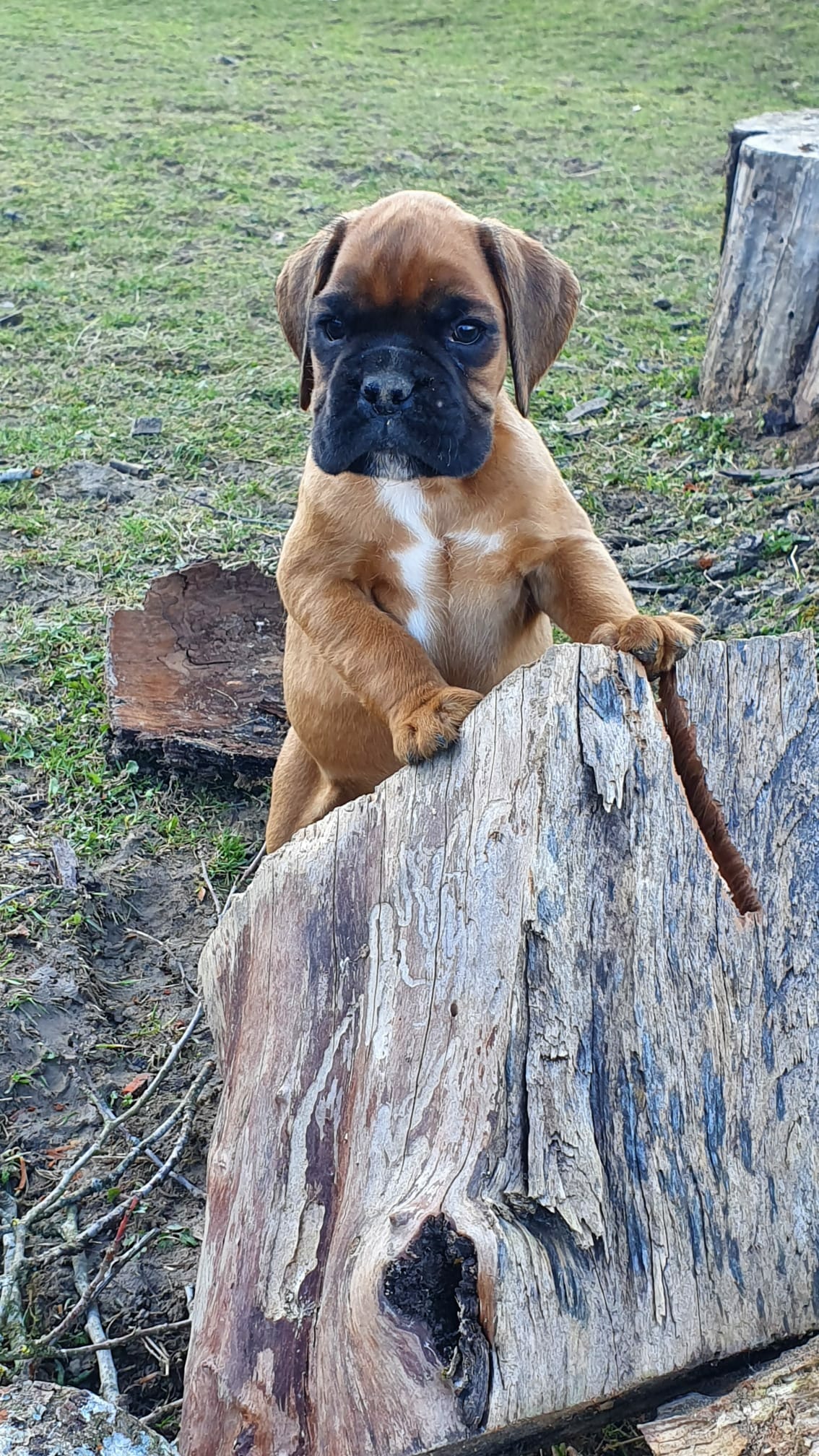 NAIOMI